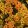 Achillea millefolium Milly Rock Yellow Terracotta - Cickafark